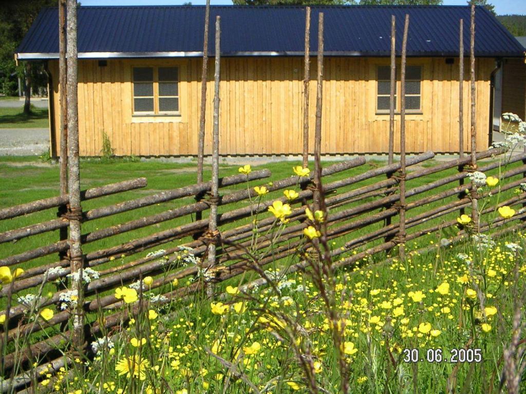 Saiva Camping & Stugby Vilhelmina Zewnętrze zdjęcie